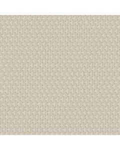 Anderson Tuftex Havencrest Ivory Carpet - ZZ318-00112