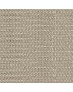 Anderson Tuftex Havencrest Cashmere Carpet - ZZ318-00114