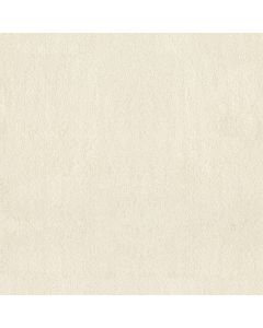Anderson Tuftex Luxe Feel I Icelandic Carpet - ZZ321-00100