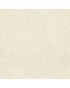 Anderson Tuftex Luxe Feel II Icelandic Carpet - ZZ322-00100