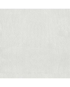 Anderson Tuftex Luxe Feel II Crisp Carpet - ZZ322-00120