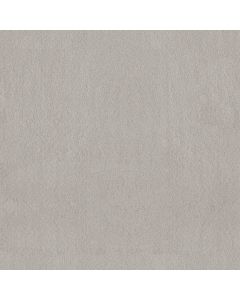 Anderson Tuftex Luxe Feel II Silver Lining Carpet - ZZ322-00123