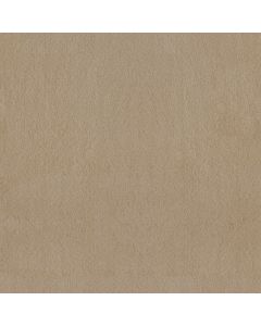 Anderson Tuftex Luxe Feel II Gentle Doe Carpet - ZZ322-00128