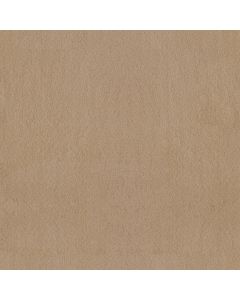 Anderson Tuftex Luxe Feel II Manilla Carpet - ZZ322-00221