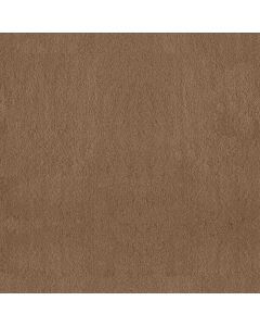 Anderson Tuftex Luxe Feel II Radiance Carpet - ZZ322-00240
