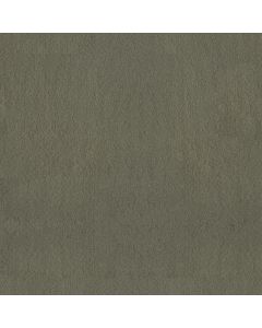 Anderson Tuftex Luxe Feel II Bonsai Carpet - ZZ322-00342