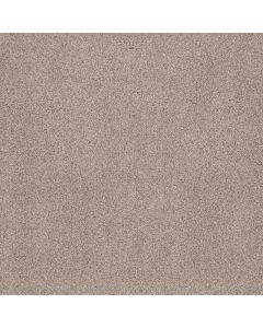 Anderson Tuftex Sumptuous I Cricket Club Carpet - ZZ323-00143