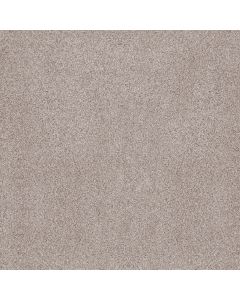 Anderson Tuftex Sumptuous I First Star Carpet - ZZ323-00151