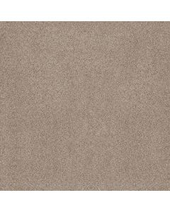 Anderson Tuftex Sumptuous I Cream Tea Carpet - ZZ323-00240