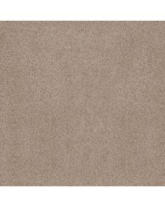 Anderson Tuftex Sumptuous I Toasted Grain Carpet - ZZ323-00241