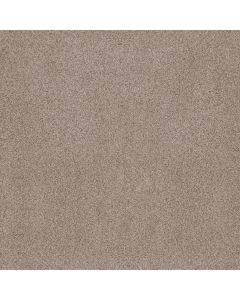 Anderson Tuftex Sumptuous I Earthen Carpet - ZZ323-00750
