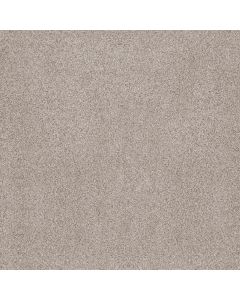 Anderson Tuftex Sumptuous II Valley Carpet - ZZ324-00141