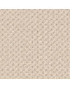 Anderson Tuftex Gracious Ivory Paper Carpet - ZZ325-00100
