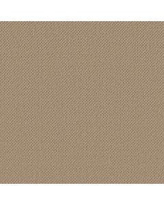 Anderson Tuftex Gracious Safari Carpet - ZZ325-00105
