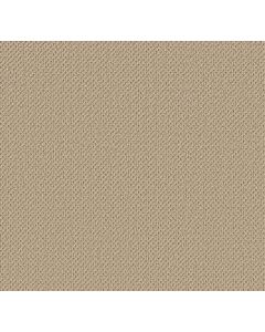 Anderson Tuftex Gracious Shoreline Carpet - ZZ325-00133