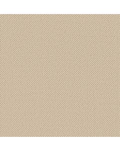 Anderson Tuftex Gracious Creamy Carpet - ZZ325-00140