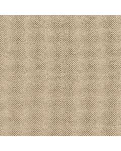 Anderson Tuftex Gracious Bamboo Carpet - ZZ325-00141