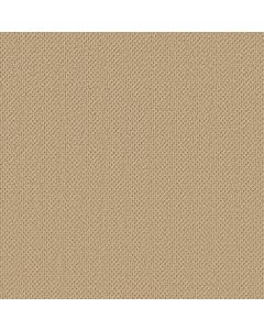 Anderson Tuftex Gracious Plateau Carpet - ZZ325-00142