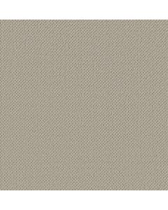 Anderson Tuftex Gracious Pumice Stone Carpet - ZZ325-00143