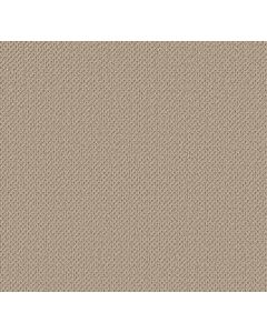 Anderson Tuftex Gracious Barista Carpet - ZZ325-00151