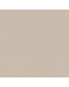 Anderson Tuftex Gracious Alabaster Carpet - ZZ325-00172
