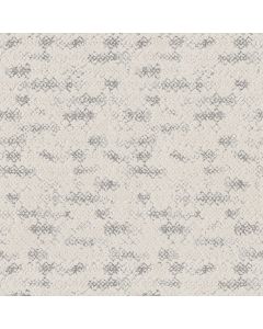 Anderson Tuftex Evoke First Frost Carpet - ZZ326-00100