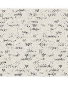Anderson Tuftex Evoke Granite Carpet - ZZ326-00103