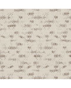 Anderson Tuftex Evoke Vintage Find Carpet - ZZ326-00105