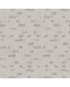 Anderson Tuftex Evoke Grey Fox Carpet - ZZ326-00112