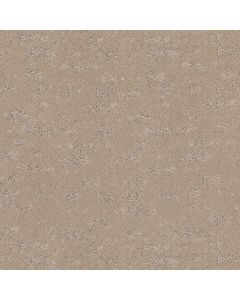 Anderson Tuftex Evoke Fresh Bread Carpet - ZZ326-00114