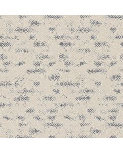 Anderson Tuftex Evoke Serenity Carpet - ZZ326-00400