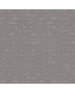 Anderson Tuftex Evoke Pewter Carpet - ZZ326-00501