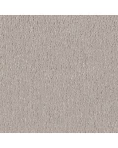 Anderson Tuftex Ambitious Smooth Stones Carpet - ZZ327-00113