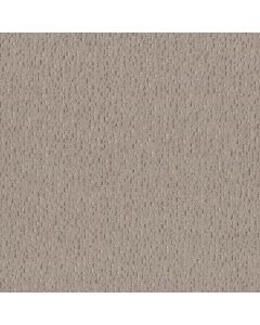 Anderson Tuftex Ambitious Pebble Path Carpet - ZZ327-00700