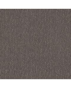Anderson Tuftex Ambitious Walnut Carpet - ZZ327-00705