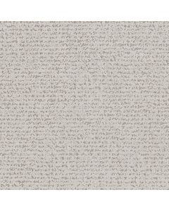 Anderson Tuftex Tangent Grey Fox Carpet - ZZ328-00112