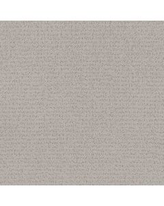 Anderson Tuftex Tangent Smooth Stones Carpet - ZZ328-00113