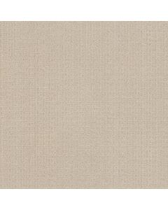 Anderson Tuftex Vignette Whitewash Carpet - ZZ330-00121