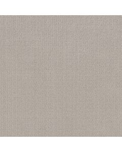 Anderson Tuftex Vignette Whisper Carpet - ZZ330-00123