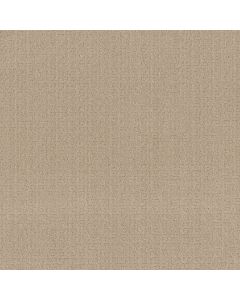 Anderson Tuftex Vignette Loft Light Carpet - ZZ330-00130