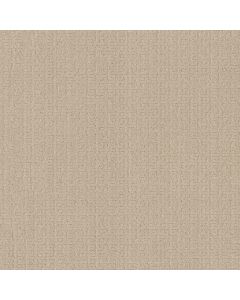 Anderson Tuftex Vignette Cottage Carpet - ZZ330-00140