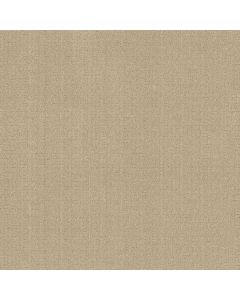 Anderson Tuftex Vignette Champagne Carpet - ZZ330-00141