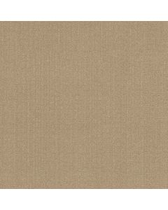 Anderson Tuftex Vignette Riviera Beach Carpet - ZZ330-00220