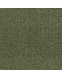 Anderson Tuftex Indulgent Fern Carpet - ZZ331-00344