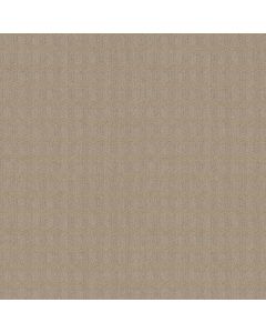 Anderson Tuftex Imagination Silhouette Carpet - ZZ336-00123