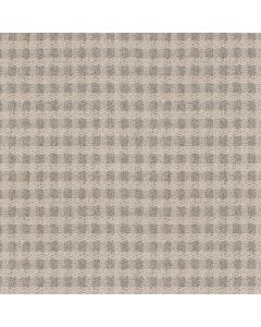 Anderson Tuftex Imagination Posh Carpet - ZZ336-00152