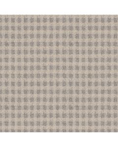 Anderson Tuftex Imagination Sanctuary Carpet - ZZ336-00153