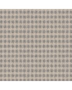 Anderson Tuftex Imagination Penthouse Carpet - ZZ336-00154