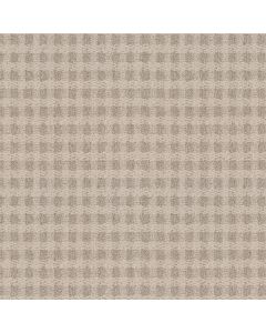 Anderson Tuftex Imagination Veranda Carpet - ZZ336-00171