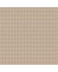 Anderson Tuftex Imagination Paris Cafe Carpet - ZZ336-00212